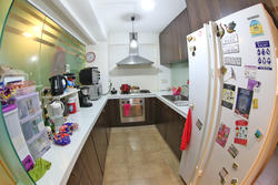 Blk 241 Pasir Ris Street 21 (Pasir Ris), HDB Executive #143321542